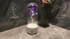 Rose Speaker Lamp product demonstration